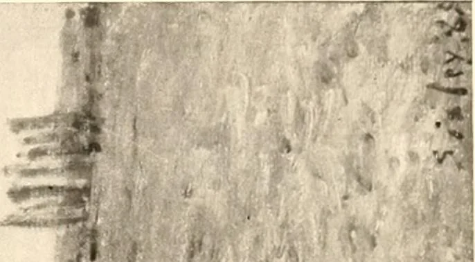 An illustration from Illustrated catalogue of the valuable paintings and sculptures by old and modern masters forming the famous Catholina Lambert collection, 1916, leaf 125