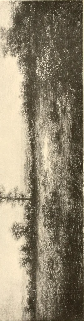 An illustration from Illustrated catalogue of the valuable paintings and sculptures by old and modern masters forming the famous Catholina Lambert collection, 1916, leaf 167