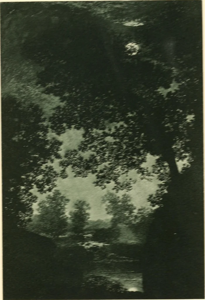 An illustration from Illustrated catalogue of the valuable paintings and sculptures by old and modern masters forming the famous Catholina Lambert collection, 1916, leaf 301