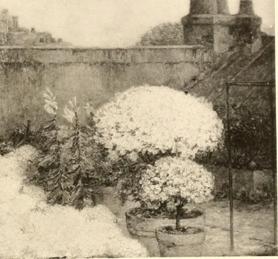 An illustration from Illustrated catalogue of the valuable paintings and sculptures by old and modern masters forming the famous Catholina Lambert collection, 1916, leaf 307