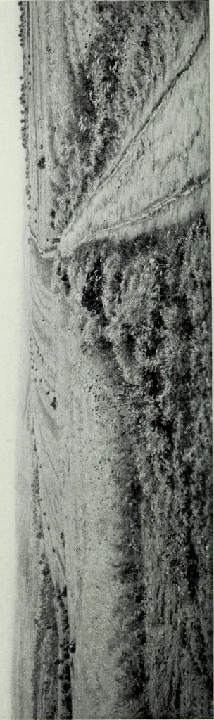 An illustration from Illustrated catalogue of the highly important collection of foreign and American paintings, to be sold at unrestricted public sale in the grand ballroom of the Plaza Hotel .., 1913, leaf 117