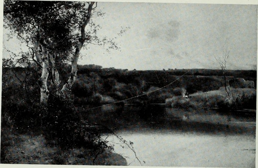 An illustration from Illustrated catalogue of the highly important collection of foreign and American paintings, to be sold at unrestricted public sale in the grand ballroom of the Plaza Hotel .., 1913, leaf 153