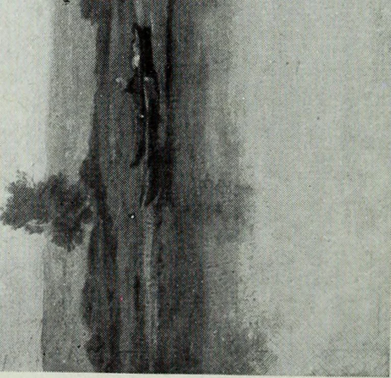 An illustration from Illustrated catalogue of the highly important collection of foreign and American paintings, to be sold at unrestricted public sale in the grand ballroom of the Plaza Hotel .., 1913, leaf 215