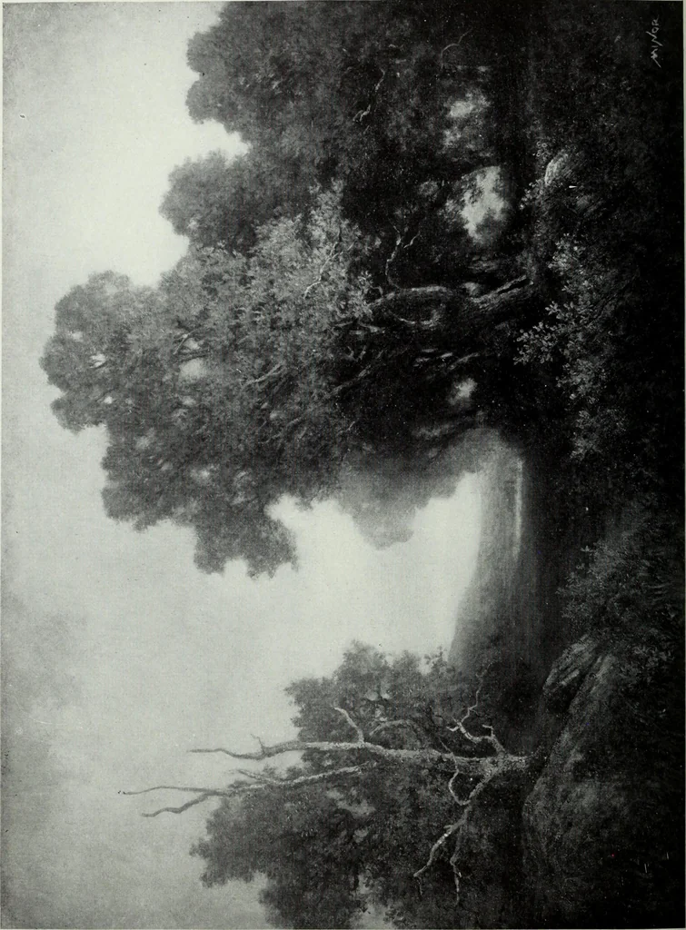An illustration from Illustrated catalogue of the highly important collection of foreign and American paintings, to be sold at unrestricted public sale in the grand ballroom of the Plaza Hotel .., 1913, leaf 233
