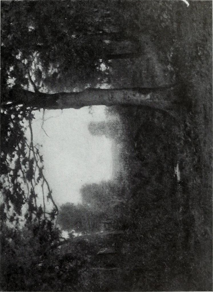 An illustration from Illustrated catalogue of the highly important collection of foreign and American paintings, to be sold at unrestricted public sale in the grand ballroom of the Plaza Hotel .., 1913, leaf 252