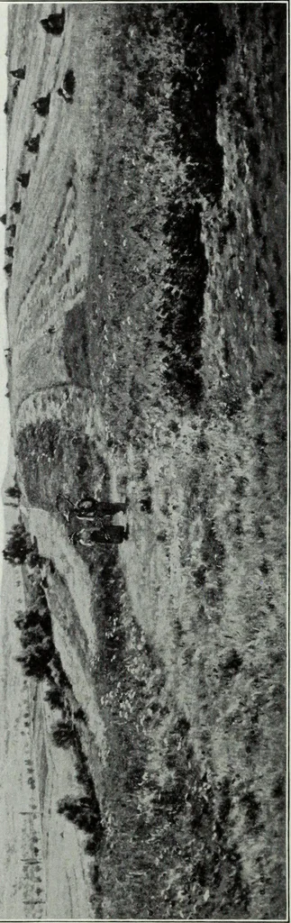 An illustration from Illustrated catalogue of the highly important collection of foreign and American paintings, to be sold at unrestricted public sale in the grand ballroom of the Plaza Hotel .., 1913, leaf 37