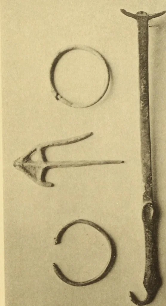 An illustration from Illustrated catalogue of classical antiquities from the site of the temple of Diana, Nemi, Italy. Discovered during excavations undertaken by the Right Hon. Lord Savile ... and given by him to the Art museum of Nottingham: with an account by Lord Savile of the discovery of the temple and the objects foundthere, 1893, leaf 100