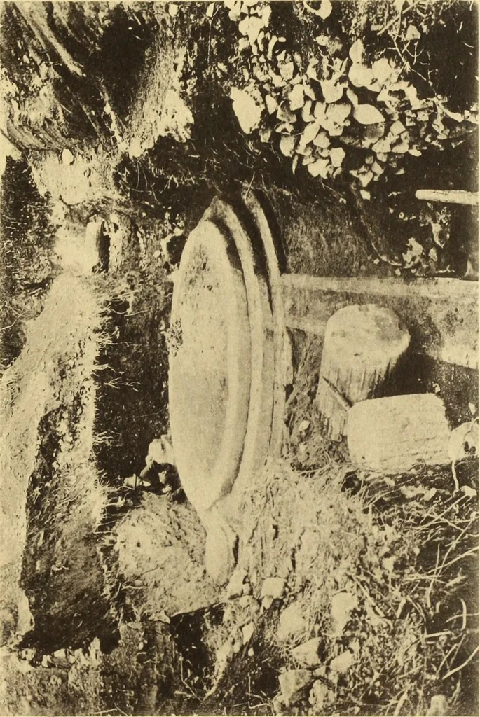 An illustration from Illustrated catalogue of classical antiquities from the site of the temple of Diana, Nemi, Italy. Discovered during excavations undertaken by the Right Hon. Lord Savile ... and given by him to the Art museum of Nottingham: with an account by Lord Savile of the discovery of the temple and the objects foundthere, 1893, leaf 48