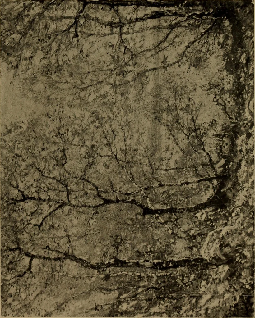 An illustration from Illustrated catalogue of the completed pictures left by the late Henry Ward Ranger, N.A. : and his collection of works by some of his contemporaries, 1917, leaf 108