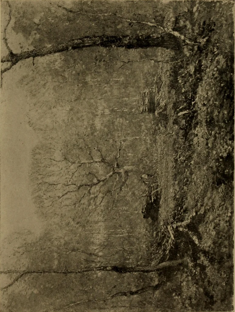 An illustration from Illustrated catalogue of the completed pictures left by the late Henry Ward Ranger, N.A. : and his collection of works by some of his contemporaries, 1917, leaf 112