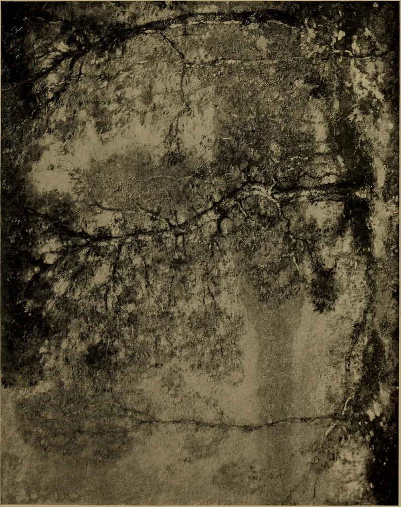 An illustration from Illustrated catalogue of the completed pictures left by the late Henry Ward Ranger, N.A. : and his collection of works by some of his contemporaries, 1917, leaf 118
