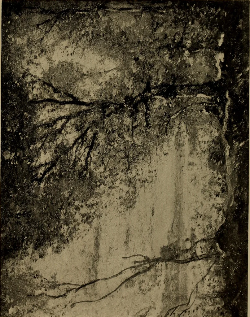 An illustration from Illustrated catalogue of the completed pictures left by the late Henry Ward Ranger, N.A. : and his collection of works by some of his contemporaries, 1917, leaf 132