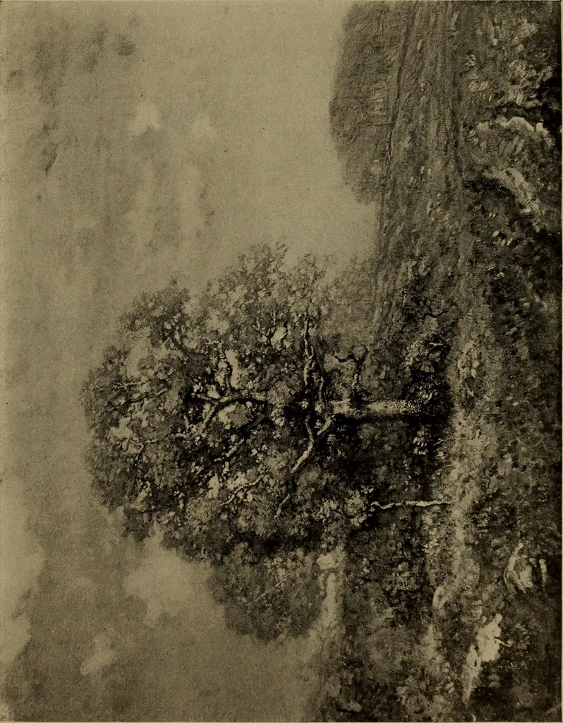 An illustration from Illustrated catalogue of the completed pictures left by the late Henry Ward Ranger, N.A. : and his collection of works by some of his contemporaries, 1917, leaf 66