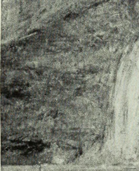 An illustration from Illustrated catalogue of the notable private collection of paintings and pastels by ... Hilaire Edgar Degas, 1921, leaf 128