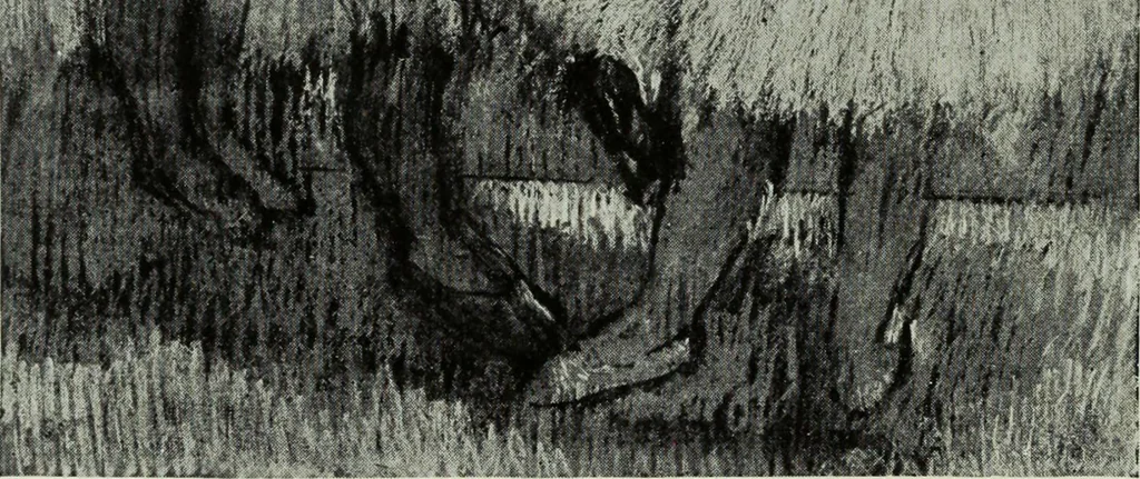 An illustration from Illustrated catalogue of the notable private collection of paintings and pastels by ... Hilaire Edgar Degas, 1921, leaf 23