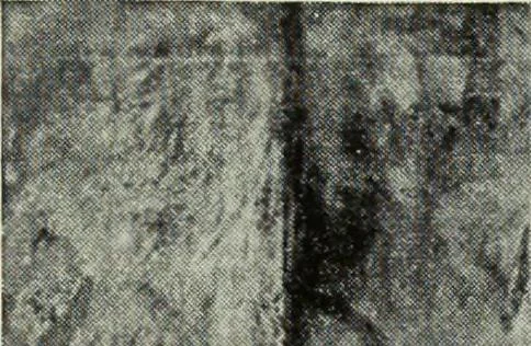 An illustration from Illustrated catalogue of the notable private collection of paintings and pastels by ... Hilaire Edgar Degas, 1921, leaf 34