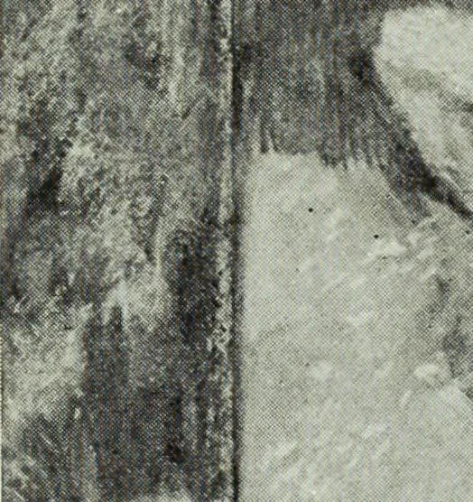 An illustration from Illustrated catalogue of the notable private collection of paintings and pastels by ... Hilaire Edgar Degas, 1921, leaf 34