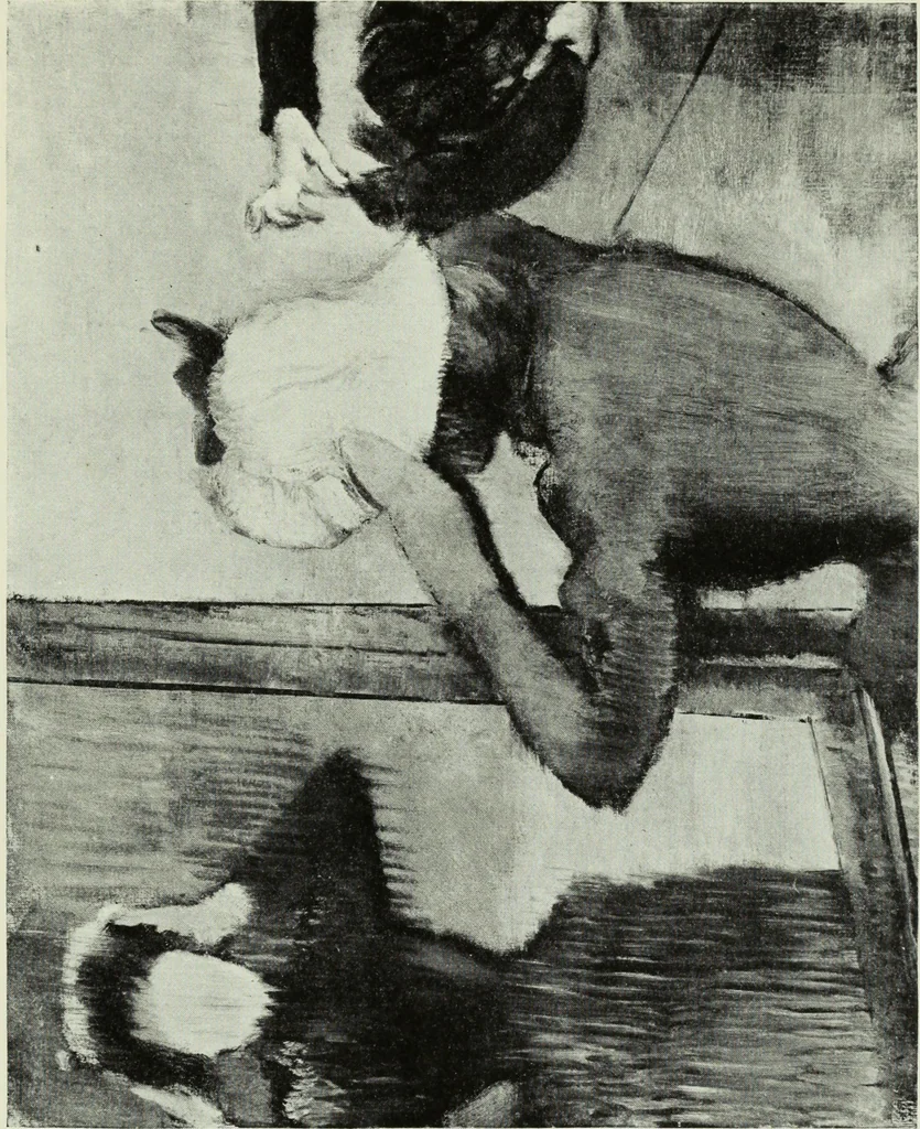 An illustration from Illustrated catalogue of the notable private collection of paintings and pastels by ... Hilaire Edgar Degas, 1921, leaf 48