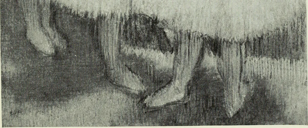 An illustration from Illustrated catalogue of the notable private collection of paintings and pastels by ... Hilaire Edgar Degas, 1921, leaf 66