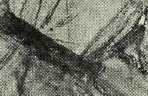 An illustration from Illustrated catalogue of the notable private collection of paintings and pastels by ... Hilaire Edgar Degas, 1921, leaf 70