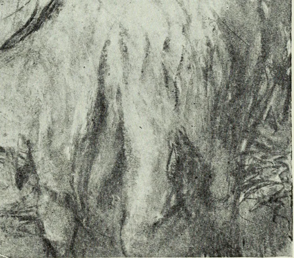 An illustration from Illustrated catalogue of the notable private collection of paintings and pastels by ... Hilaire Edgar Degas, 1921, leaf 80
