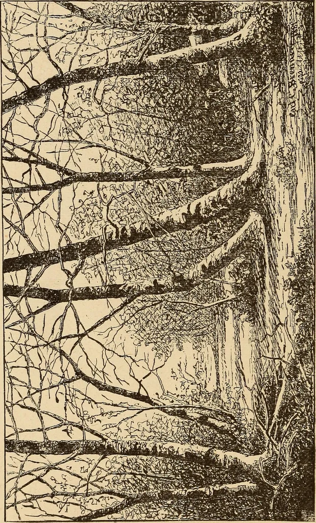 An illustration from Illustrated catalogue of the art gallery of the Southern Exposition, Louisville, Ky., August 16-October 25, 1884, 1884, leaf 115
