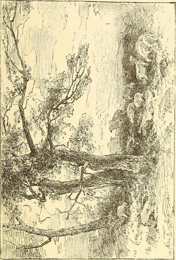 An illustration from Illustrated catalogue of the art gallery of the Southern Exposition, Louisville, Ky., August 16-October 25, 1884, 1884, leaf 122