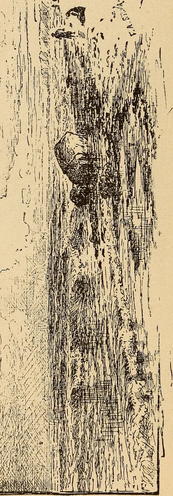 An illustration from Illustrated catalogue of the art gallery of the Southern Exposition, Louisville, Ky., August 16-October 25, 1884, 1884, leaf 143