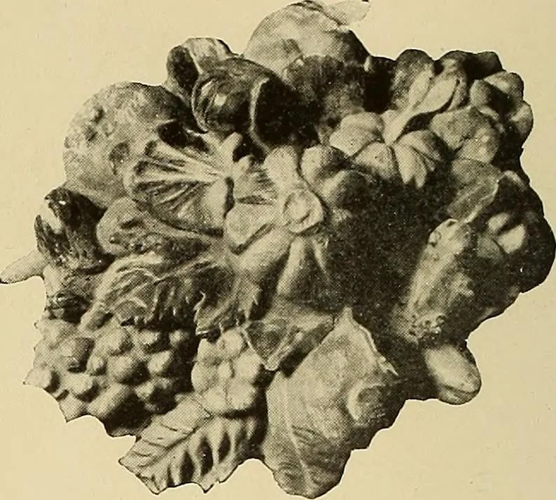 An illustration from Illustrated catalogue of the extraordinary collection of art treasures and antiquities acquired during the past year by Professore Commendatore Elia Volpi ... to be sold at unrestricted public sale at the American Art Galleries [on Monday, Tuesday and Wednesday afternoon, Dec. 17th, 18th and 19th, 1917], 1917, leaf 31