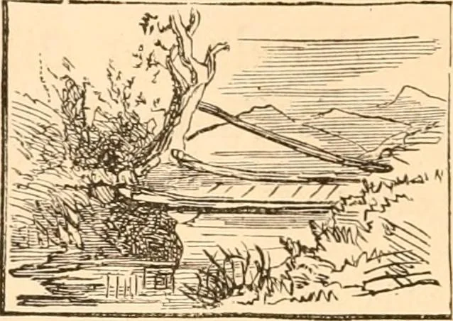 An illustration from Illustrated catalogue of Wadsworth, Howland & Co. : importers and dealers in artists' supplies and architects' and engineers' stationery., 1885, leaf 11