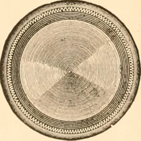 An illustration from Illustrated catalogue of Wadsworth, Howland & Co. : importers and dealers in artists' supplies and architects' and engineers' stationery., 1885, leaf 13