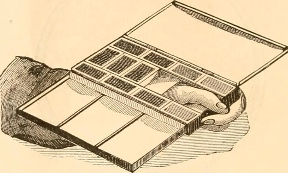 An illustration from Illustrated catalogue of Wadsworth, Howland & Co. : importers and dealers in artists' supplies and architects' and engineers' stationery., 1885, leaf 31