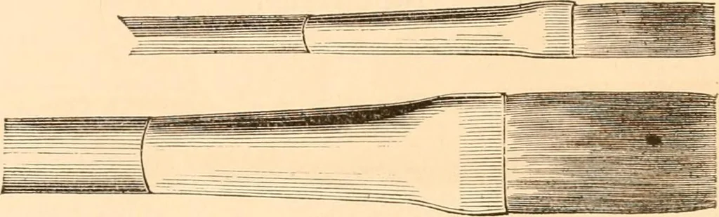 An illustration from Illustrated catalogue of Wadsworth, Howland & Co. : importers and dealers in artists' supplies and architects' and engineers' stationery., 1885, leaf 79