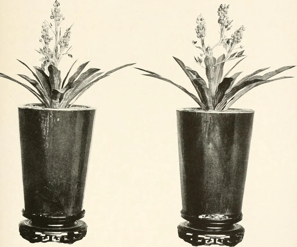 An illustration from Illustrated catalogue of the remarkable collection of ancient Chinese bronzes, beautiful old porcelains, amber and stone carvings, sumptuous eighteenth century brocades, interesting old paintings on glas and fine old carpets, rugs and furniture, from ancient palaces and temples of China comprising the private collection of a Chinese nobleman of Tien-Tsin, 1914, leaf 184