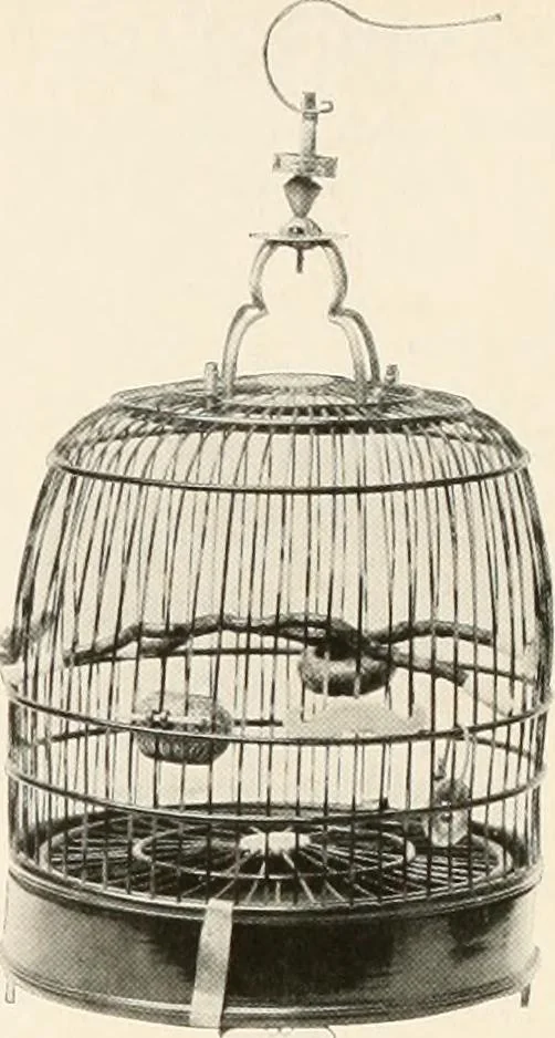 An illustration from Illustrated catalogue of the remarkable collection of ancient Chinese bronzes, beautiful old porcelains, amber and stone carvings, sumptuous eighteenth century brocades, interesting old paintings on glas and fine old carpets, rugs and furniture, from ancient palaces and temples of China comprising the private collection of a Chinese nobleman of Tien-Tsin, 1914, leaf 243