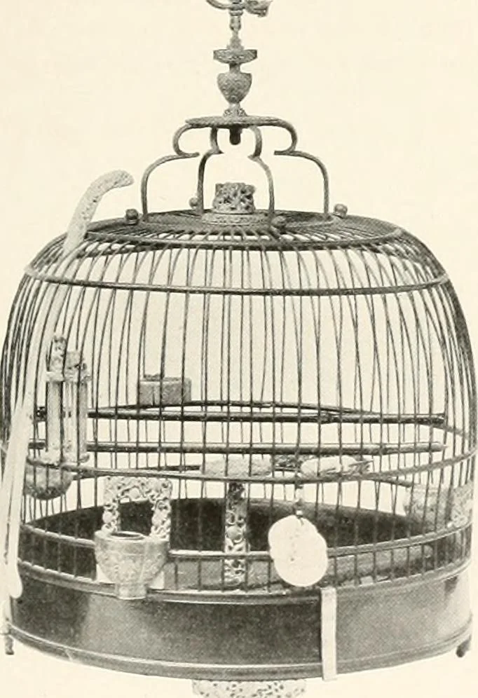 An illustration from Illustrated catalogue of the remarkable collection of ancient Chinese bronzes, beautiful old porcelains, amber and stone carvings, sumptuous eighteenth century brocades, interesting old paintings on glas and fine old carpets, rugs and furniture, from ancient palaces and temples of China comprising the private collection of a Chinese nobleman of Tien-Tsin, 1914, leaf 246