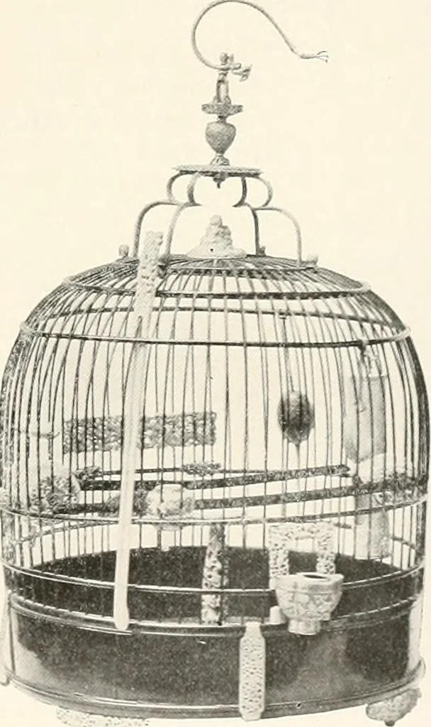 An illustration from Illustrated catalogue of the remarkable collection of ancient Chinese bronzes, beautiful old porcelains, amber and stone carvings, sumptuous eighteenth century brocades, interesting old paintings on glas and fine old carpets, rugs and furniture, from ancient palaces and temples of China comprising the private collection of a Chinese nobleman of Tien-Tsin, 1914, leaf 246