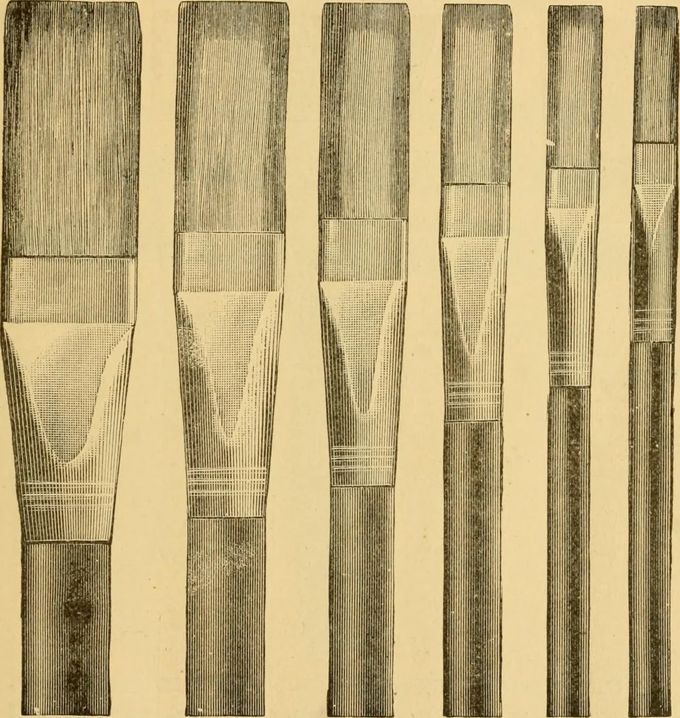 An illustration from Illustrated catalogue and price list of artists' materials, gold paint, bronze powders, metallics, metal leaf, &c. : colors and materials for china and glass painting ; colors and materials for oil, water color & pastel painting and drawing, &c., 1894, leaf 156
