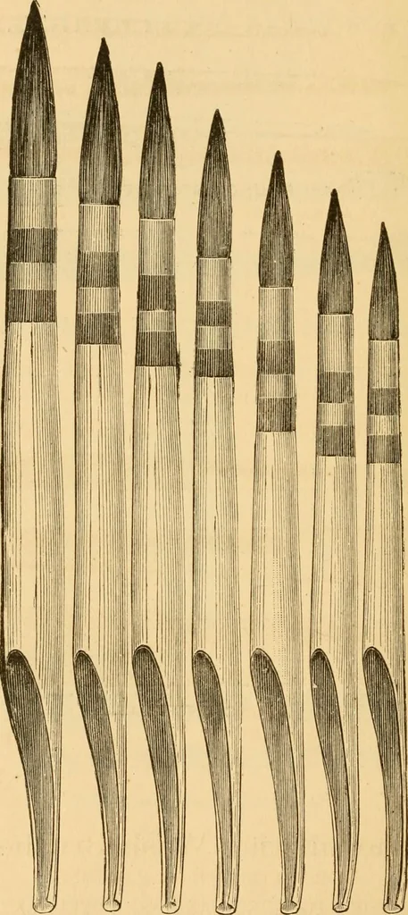 An illustration from Illustrated catalogue and price list of artists' materials, gold paint, bronze powders, metallics, metal leaf, &c. : colors and materials for china and glass painting ; colors and materials for oil, water color & pastel painting and drawing, &c., 1894, leaf 159