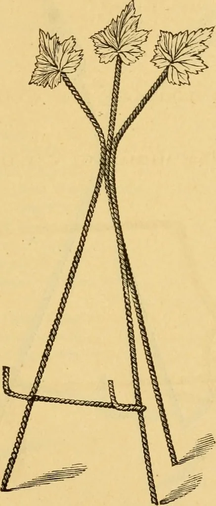 An illustration from Illustrated catalogue and price list of artists' materials, gold paint, bronze powders, metallics, metal leaf, &c. : colors and materials for china and glass painting ; colors and materials for oil, water color & pastel painting and drawing, &c., 1894, leaf 182