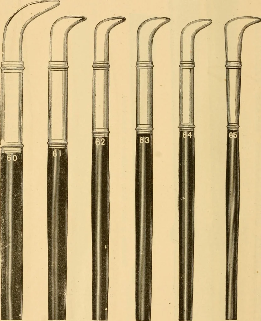 An illustration from Illustrated catalogue and price list of artists' materials, gold paint, bronze powders, metallics, metal leaf, &c. : colors and materials for china and glass painting ; colors and materials for oil, water color & pastel painting and drawing, &c., 1894, leaf 59