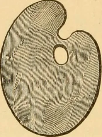An illustration from Illustrated catalogue and price list of artists' materials, gold paint, bronze powders, metallics, metal leaf, &c. : colors and materials for china and glass painting ; colors and materials for oil, water color & pastel painting and drawing, &c., 1894, leaf 73