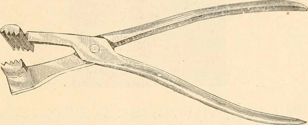 An illustration from Illustrated catalogue of Wadsworth, Howland & Co. : importers and dealers in artists' supplies and architects' and drafting materials., 1895, leaf 18