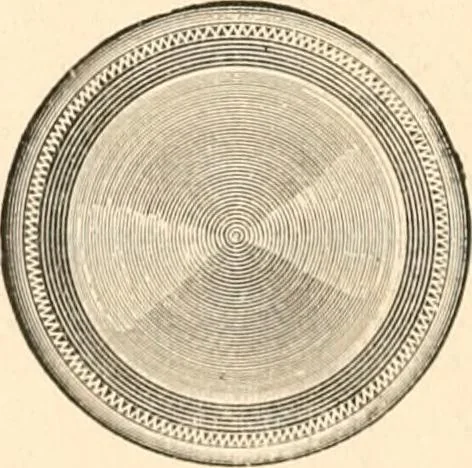 An illustration from Illustrated catalogue of Wadsworth, Howland & Co. : importers and dealers in artists' supplies and architects' and drafting materials., 1895, leaf 21