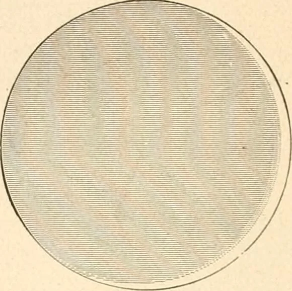 An illustration from Illustrated catalogue of Wadsworth, Howland & Co. : importers and dealers in artists' supplies and architects' and drafting materials., 1895, leaf 23