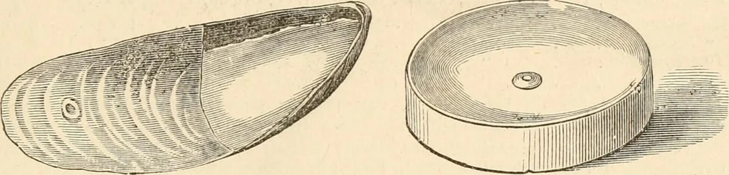 An illustration from Illustrated catalogue of Wadsworth, Howland & Co. : importers and dealers in artists' supplies and architects' and drafting materials., 1895, leaf 84