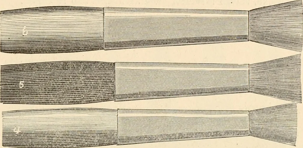 An illustration from Illustrated catalogue of Wadsworth, Howland & Co. : importers and dealers in artists' supplies and architects' and drafting materials., 1895, leaf 96