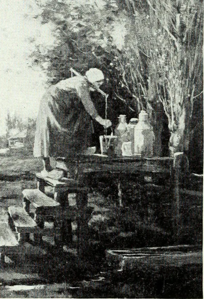 An illustration from Illustrated catalogue of valuable old and modern paintings of artistic distinction .., 1921, leaf 107