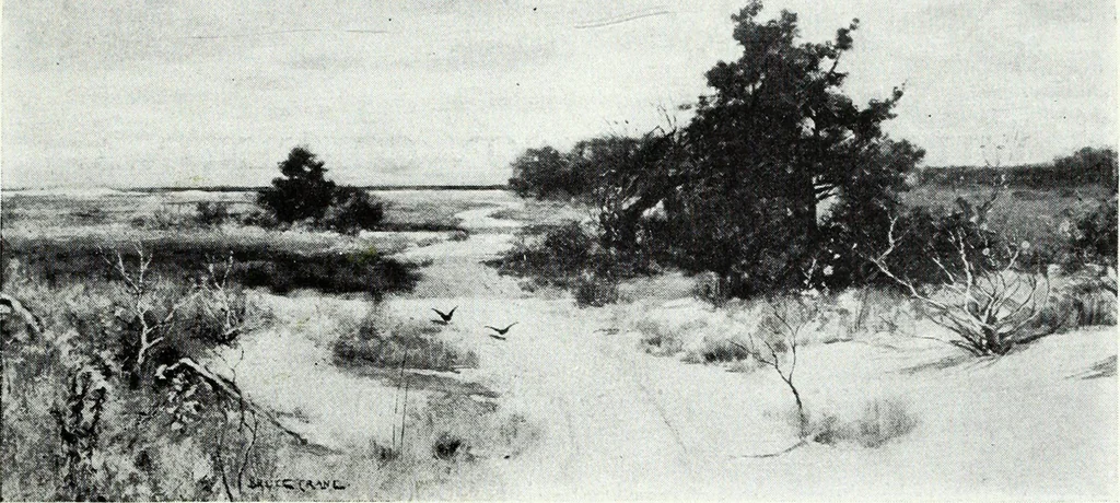 An illustration from Illustrated catalogue of valuable old and modern paintings of artistic distinction .., 1921, leaf 176