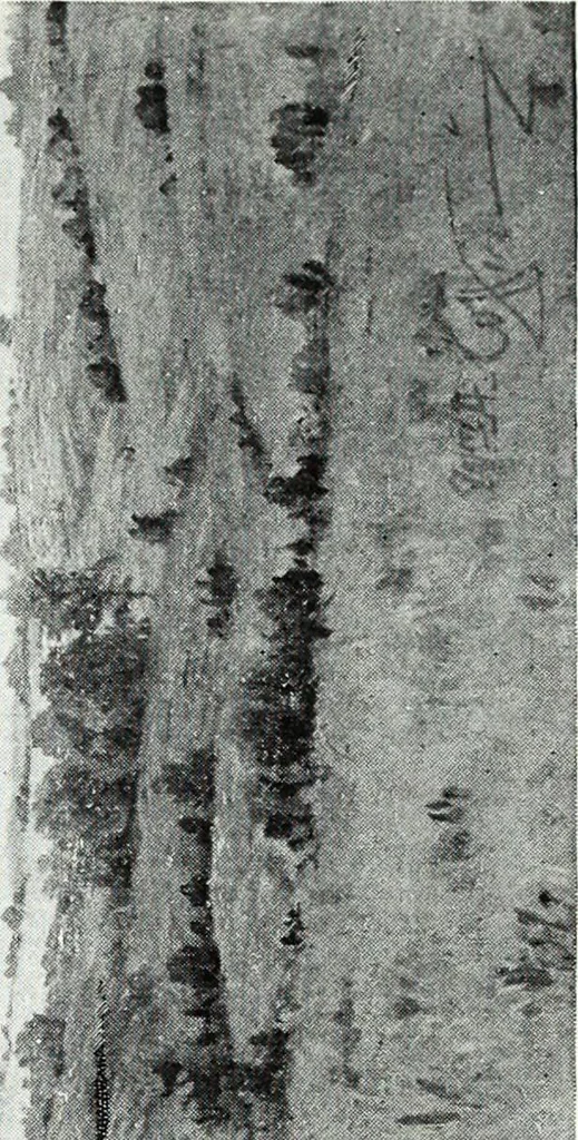 An illustration from Illustrated catalogue of valuable old and modern paintings of artistic distinction .., 1921, leaf 212